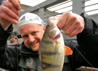 Barsch-Tipps von Matze Koch