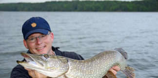 Schweden: Hechte auf der Überholspur