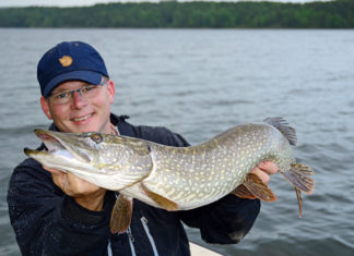 Schweden: Hechte auf der Überholspur