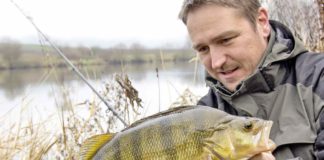 Grundeln machen Barsche fett!