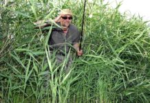 Moin, Moin! – nachgehakt bei Matze Koch