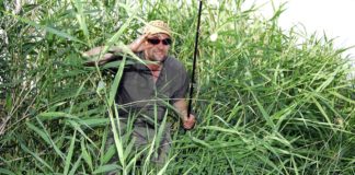 Moin, Moin! – nachgehakt bei Matze Koch