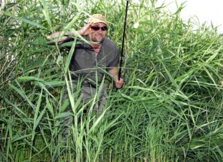 Moin, Moin! – nachgehakt bei Matze Koch