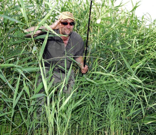 Moin, Moin! – nachgehakt bei Matze Koch