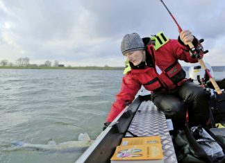 Quantum Specialist Pelagic