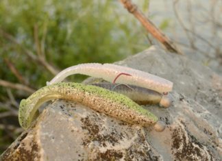 Daiwa Tournament D’Swim