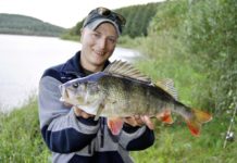 Der Tock macht die Musik – nachgehakt bei Sebastian Hänel