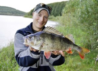 Der Tock macht die Musik – nachgehakt bei Sebastian Hänel