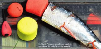 Köderfische aufpoppen