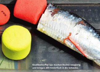 Köderfische aufpoppen