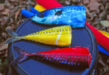 Auf Hecht mit totem Köderfisch