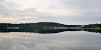 Der See der Stachelritter