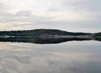 Der See der Stachelritter