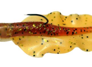 11 Top-Köder für Barsche