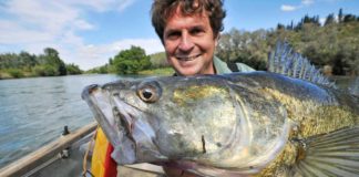 Auf Raubfisch rund um Mequinenza