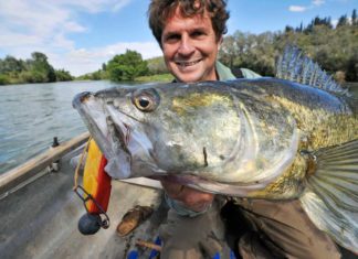 Auf Raubfisch rund um Mequinenza