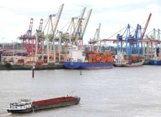 Zanderschutz in Hamburger Gewässern