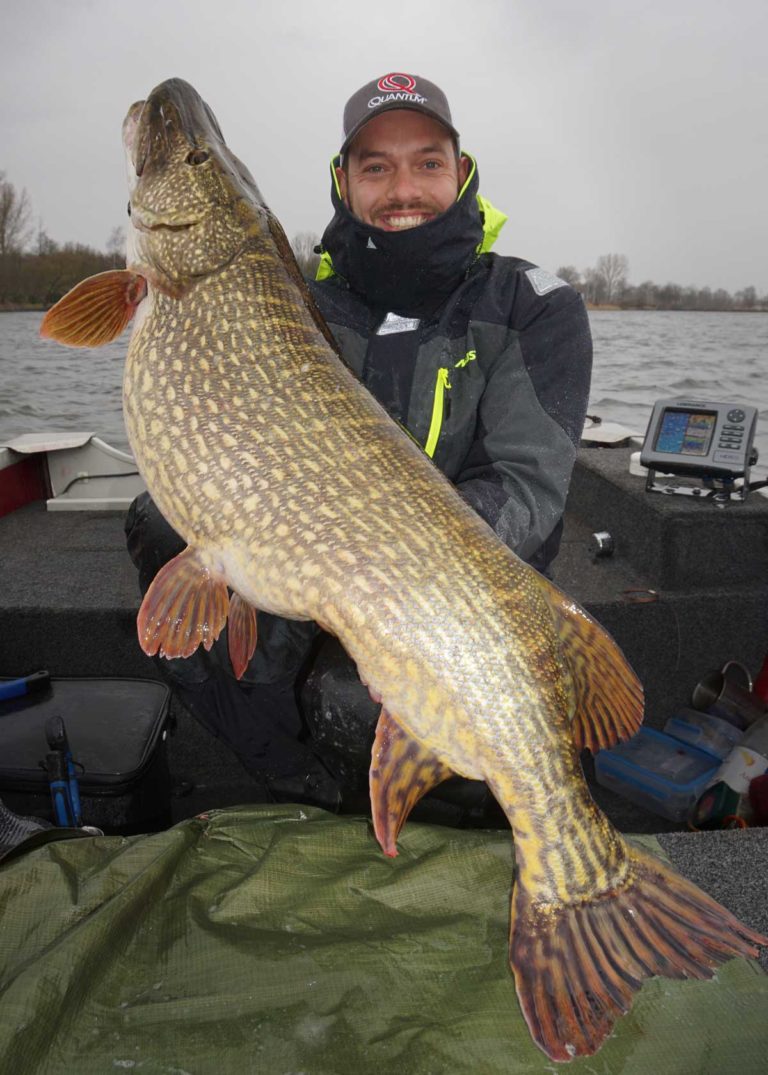 HechtGigant von 17,5 Kilo Der Raubfisch