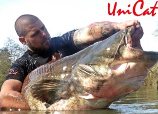 Neues Teammitglied bei Uni Cat