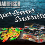 hp_rf-Supersommer1200x900