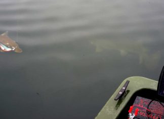 Der Riesen-Nachläufer Was taucht denn da aus der Tiefe auf?