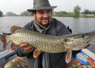 Trab oder Galopp Hier konnte Uwe einen „Holländer“ überzeugen.