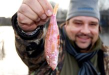 Exotische Köderfische Damit fängt man Hechte! Uwe Pinnau merkte sehr schnell, wie fängig exotische Köderfische sind.