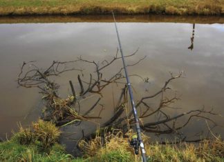 Auf Hecht mit der Stellfischrute Klassischer Hotspot: versunkene Bäume oder Äste. Problemlos lässt sich der Köderfisch hier mit der langen Rute servieren.