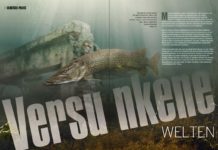 Stauseen in Deutschland