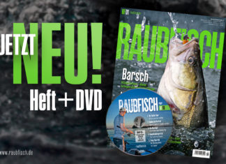 Der neue RAUBFISCH!