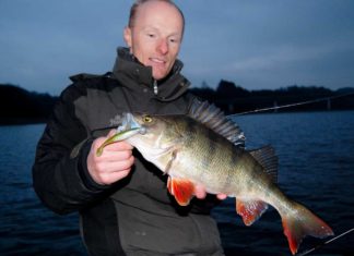 Stahlvorfach für Großbarsche