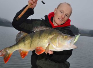 Richtige Köderführung auf Großbarsche Voll genommen: Auch für diesen Kapitalen war der 15-Gramm-Jigkopf ideal.