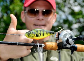 Shimano Calcutta 201D Daumen hoch! Bei solch schweren Jerkbaits ist die Calcutta in ihrem Element.