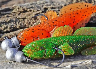 Halt für Gummiköder Die kleinen Spiralen der Musaga Hanibal Jigköpfe geben Gummiködern den erforderlichen Halt.