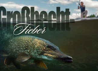 Meterhechte – wo, warum und wie alt?