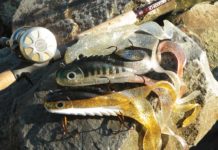 Der Medussa von Chaos Tackle