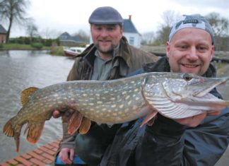 Abwechslung mit totem Köderfisch Erster Esox: Bereits nach wenigen Minuten packt sich dieser Hecht den auf Grund gelegten Stint.
