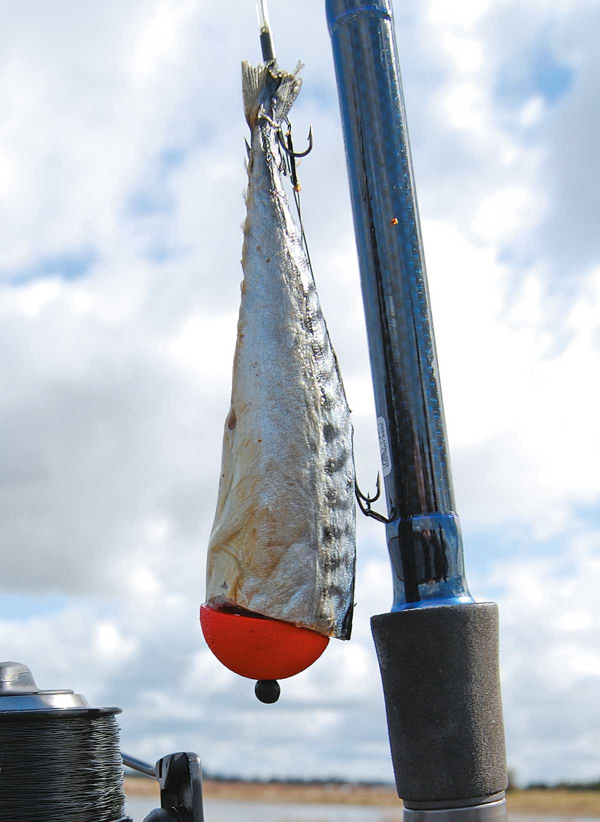 Dieser Makrelenköder wurde vom Angler mit einer halben Styroporkugel versehen, einem Baitpopper. So treibt sie ein Stück auf.