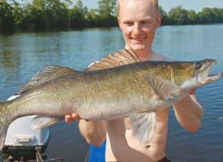 Zander im Schatten Sommer, Sonne, Großzander: Dieser 80er biss bei 38 Grad in 12 Metern Wassertiefe.
