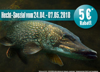 Großes Hecht-Spezial im Pareyshop