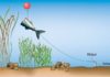 Baitpopper-Vorfach Das Baitpopper-Vorfach gewährleistet, dass der Köderfisch nicht im Kraut oder Schlamm versinkt.