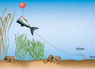 Baitpopper-Vorfach Das Baitpopper-Vorfach gewährleistet, dass der Köderfisch nicht im Kraut oder Schlamm versinkt.