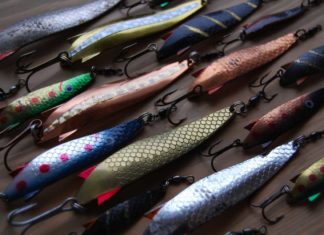 Der Toby – Schwedens Superstar