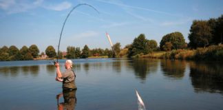 Mit Köderfisch weit raus Abgekürzt: Matze watet dem Angelplatz entgegen, wenn er den Köderfisch weit draußen anbieten will. Dann heißt es: Feuer frei!