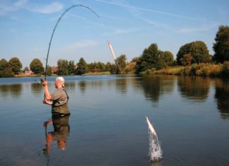 Mit Köderfisch weit raus Abgekürzt: Matze watet dem Angelplatz entgegen, wenn er den Köderfisch weit draußen anbieten will. Dann heißt es: Feuer frei!
