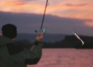 Weit raus auf Winter-Barsche Voller Durchzug: Für weite Würfe eignen sich schlanke Gummifische an schweren Bleiköpfen.