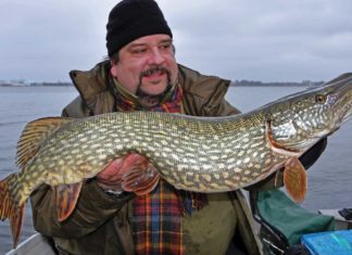 Hechtansitz mit Köpfchen Naturköder haben Uwe schon so manchen tollen Hecht beschert.