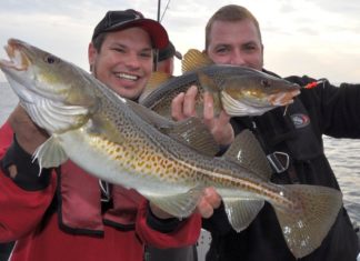 Bootsangelfestival in Heiligenhafen