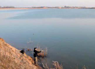 Harter Grund für große Zander
