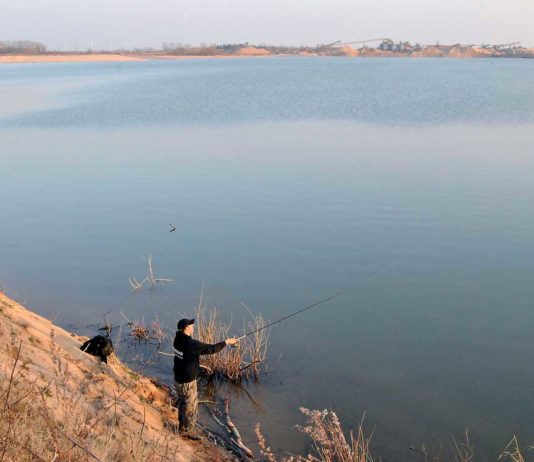 Harter Grund für große Zander